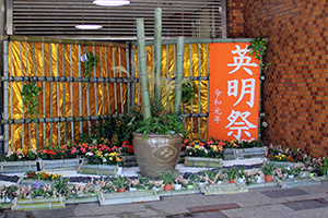 英明祭