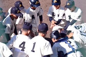 秋季四国地区高等学校野球大会