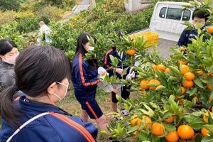 校外実習