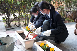 緑化作業