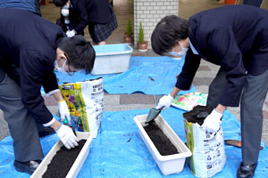 緑化作業