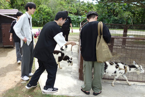 春の修学旅行　めんそーれ沖縄本島３日間コース