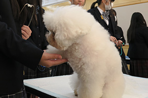 ６人での集合写真、笑顔で写っています