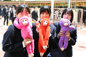 色違いのぬいぐるみ